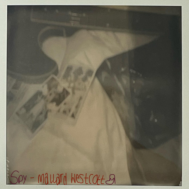 Spy cover art