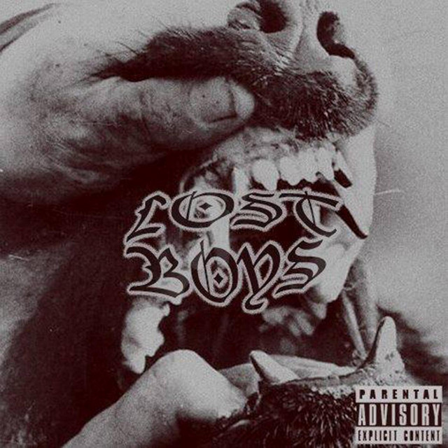 Lost Boys cover art