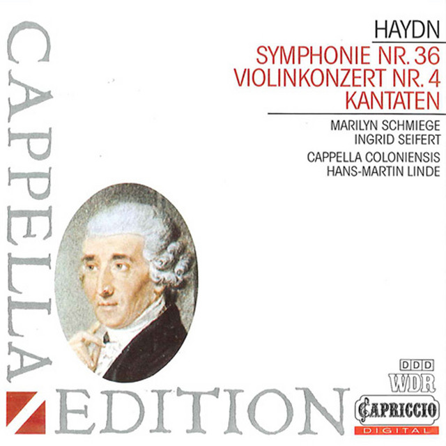 Violin Concerto in G Major, Hob. VIIa:4: I. Allegro moderato