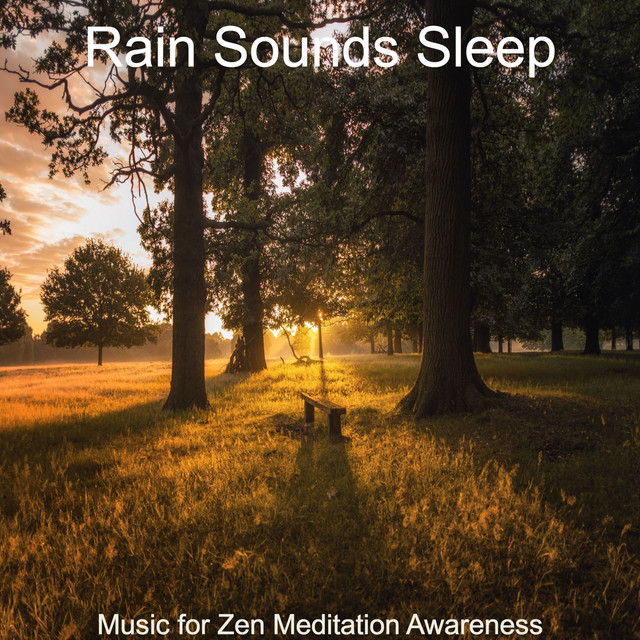 Music for Zen Meditation Awareness - Album by Rain Sounds Sleep | Spotify