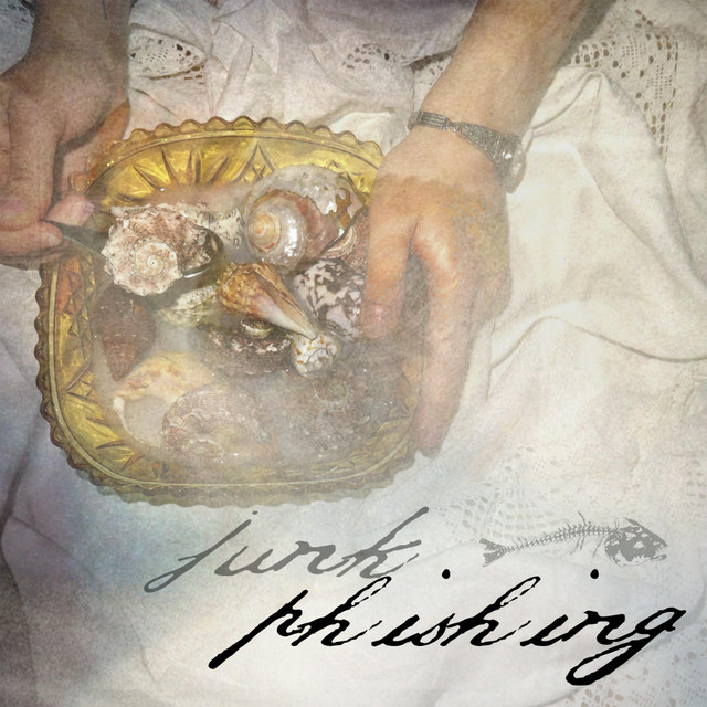 phishing cover art