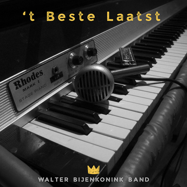Geluk Is Met De Dommen