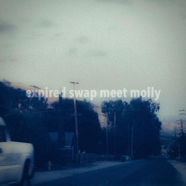i shoved a firecracker up my ass on july fourth and got sent to the emergency room by expired swap meet molly