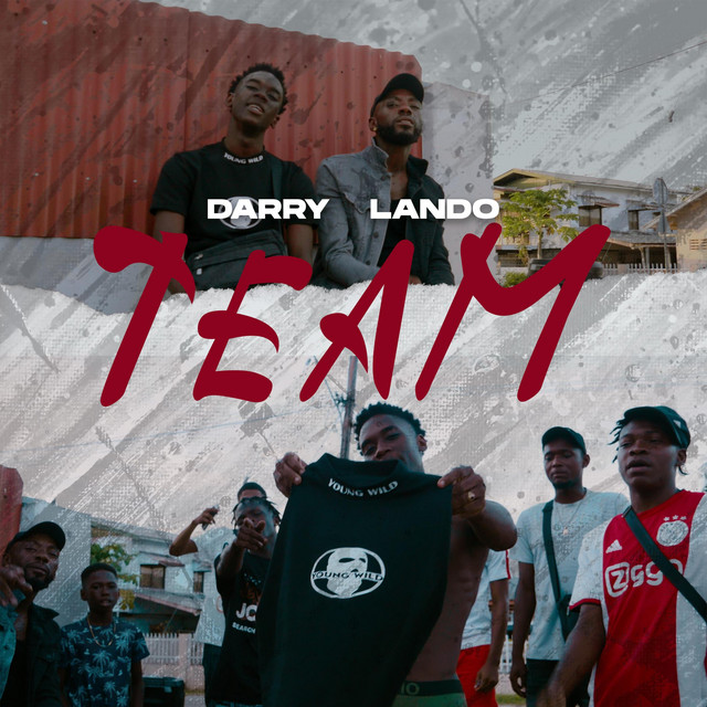 Team cover art