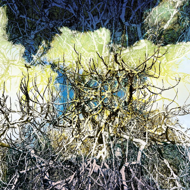 High Brow Low Brow - Aperture Expansion cover art