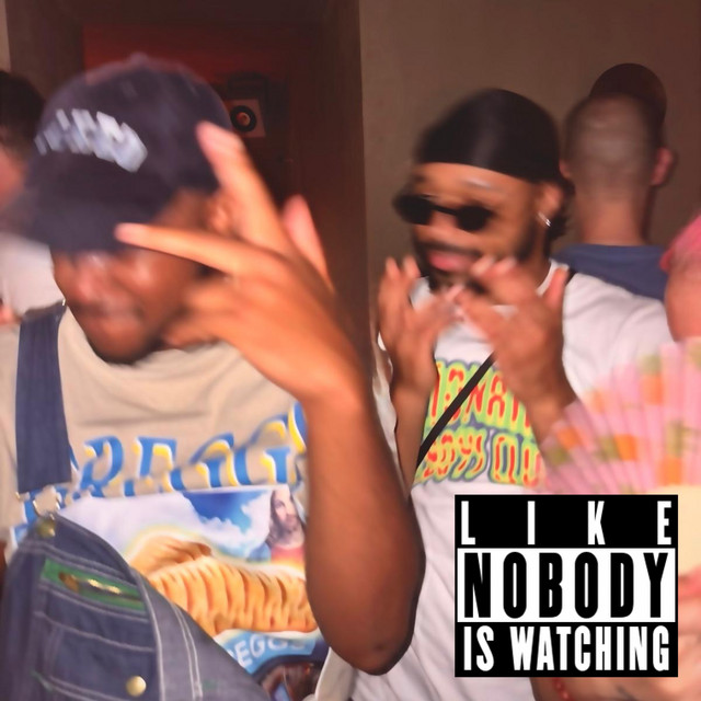 LIKE NOBODY IS WATCHING cover art