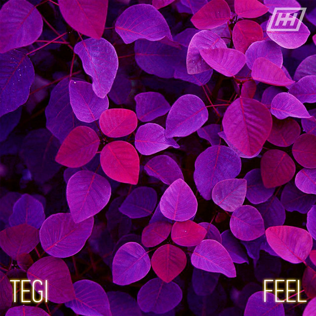 Feel cover art