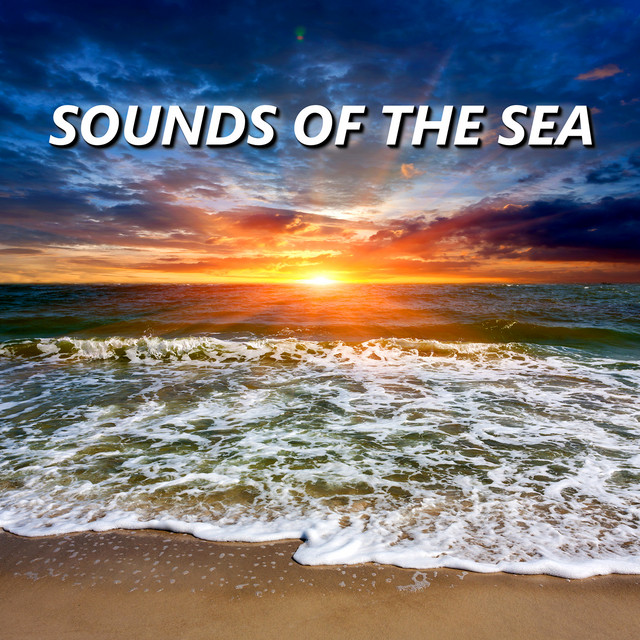 Sounds of the Sea