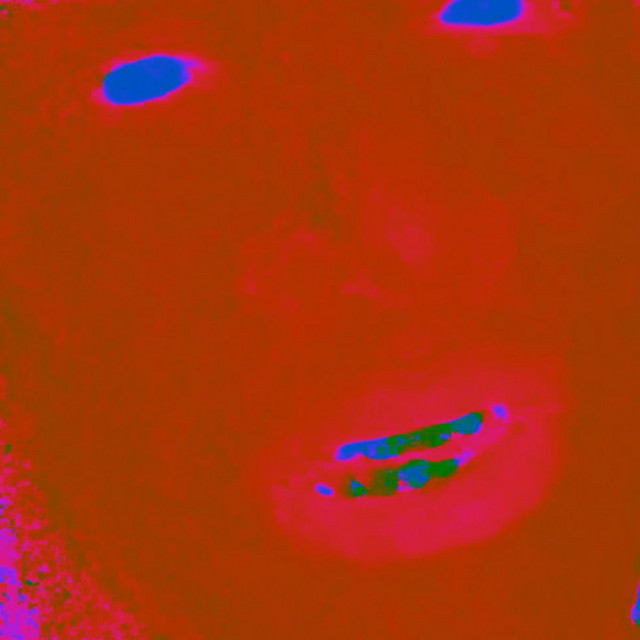 Animal