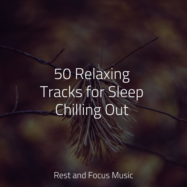 50 Relaxing Tracks for Sleep Chilling Out - Album by Wellness | Spotify