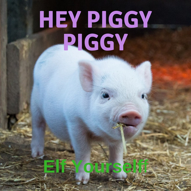 Hey Piggy Piggy - Single by Elf Yourself | Spotify