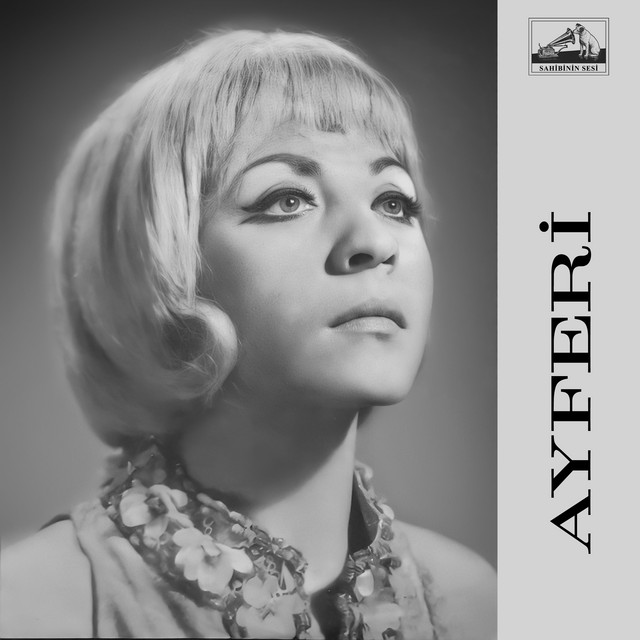 Bir Gün Anlarsın cover