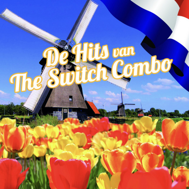 De Hits van The Switch Combo cover art