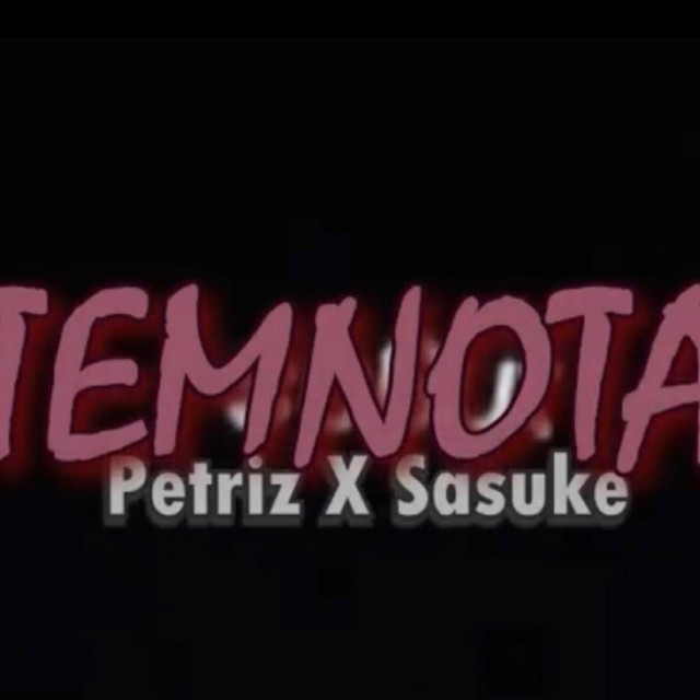 Temnota cover art