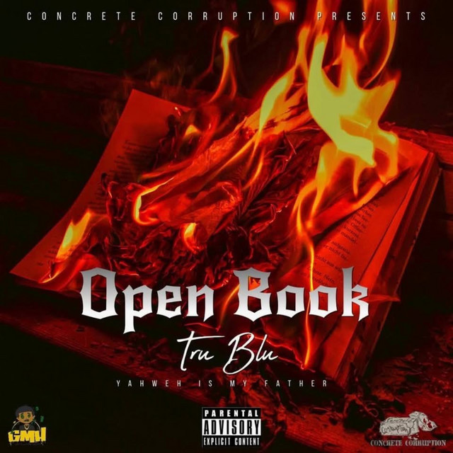 Open Book cover art