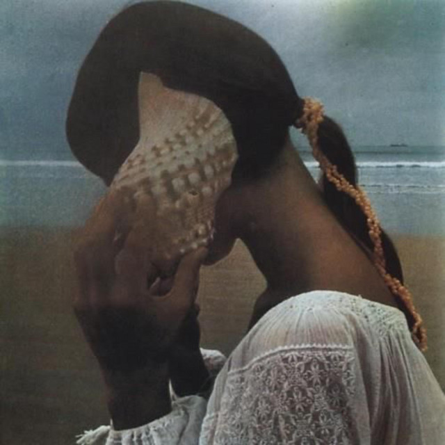 conch shell cover art