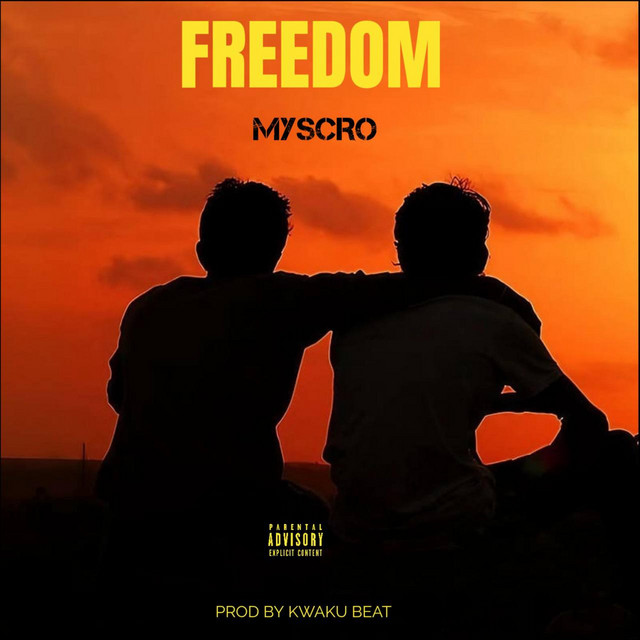 Freedom cover