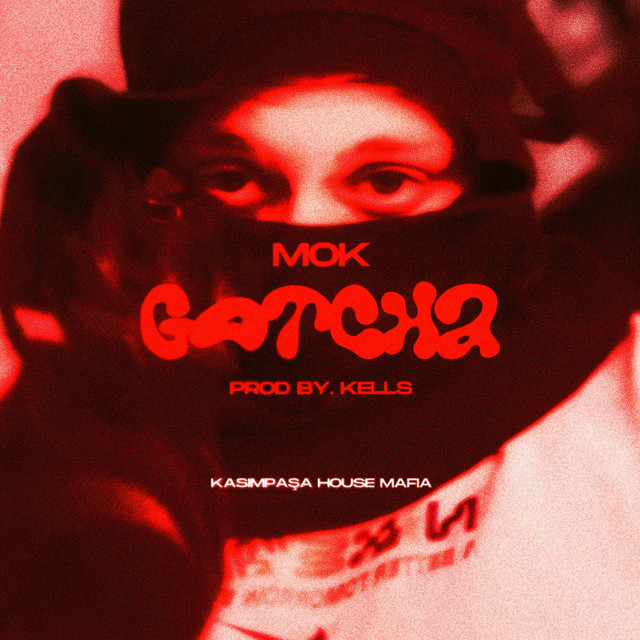 GOTCHA cover art