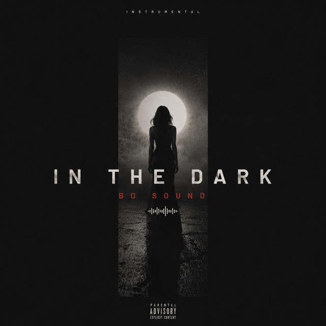 Обкладинка: In the dark — Bo Sound