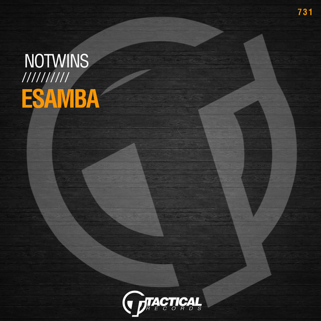 Esamba album art