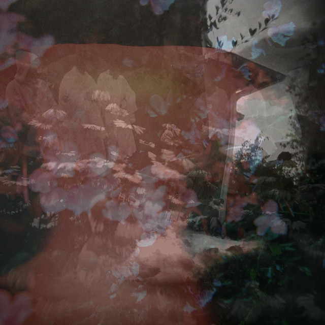 Perennial Phase cover art