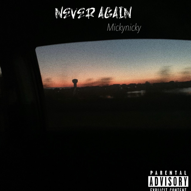 Never Again cover art