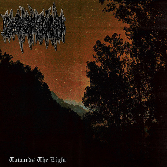 Towards The Light cover art