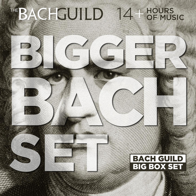 Passion According to St. Matthew, BWV 244: 47. Aria (Alto): Erbarme dich, mein Gott
