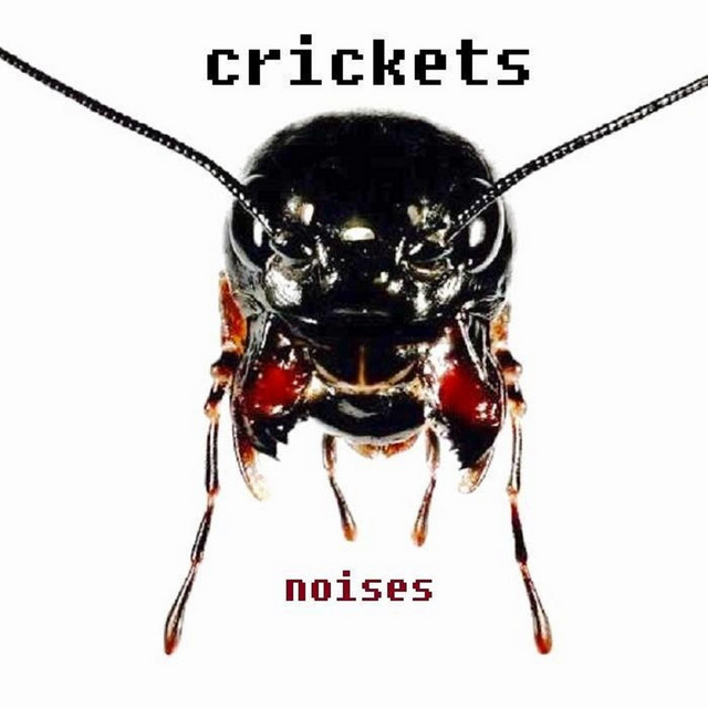 Noises cover art