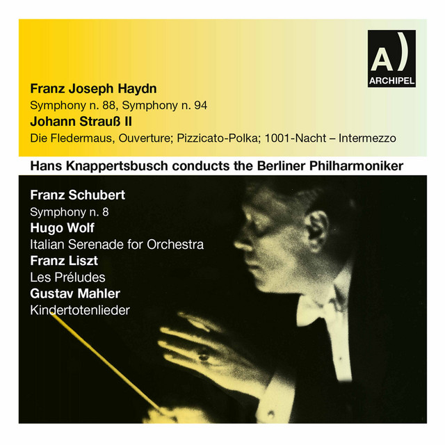 Haydn, Strauss II & Others: Orchestral Works (Live)