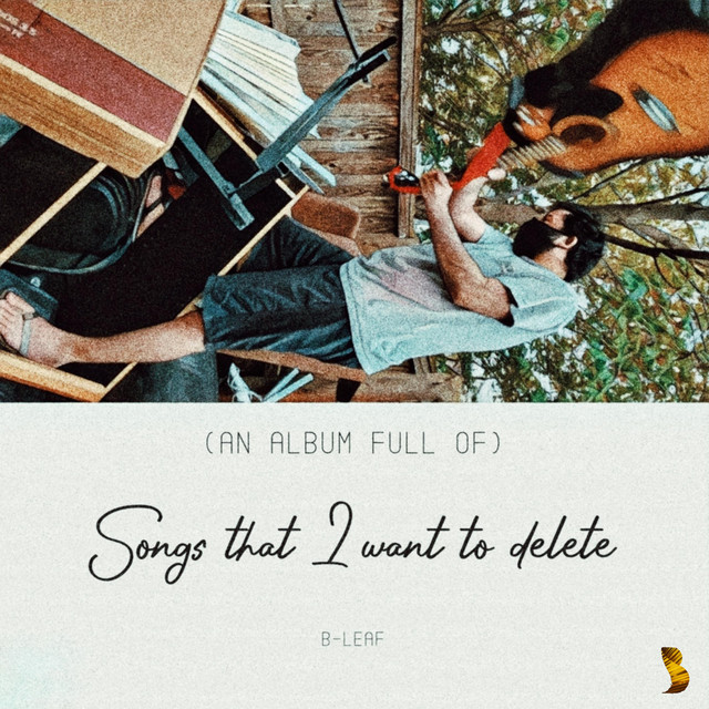 Songs That I Want To Delete cover art