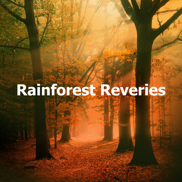 Rainforest Reveries - Album by Mother Nature Recordings | Spotify