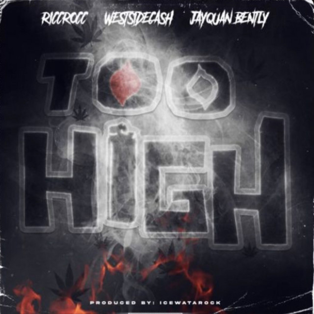 Too High - Single by Ricc Rocc | Spotify