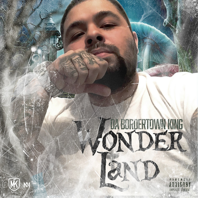 Wonder Land cover art