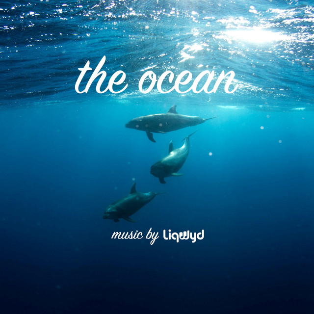 The Ocean album image