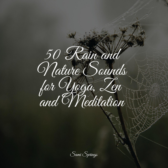 50 Rain and Nature Sounds for Yoga, Zen and Meditation - Album by ...