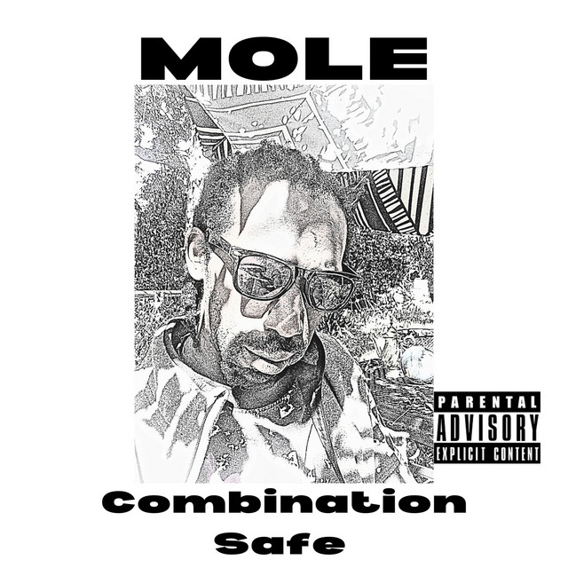 Combination Safe
