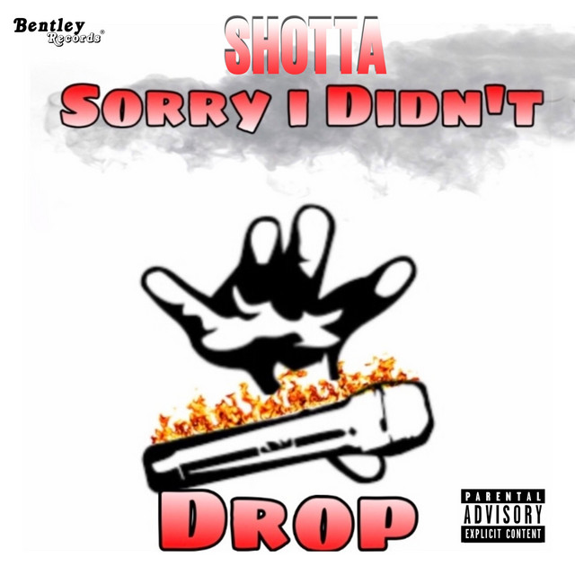 Sorry I Didn't Drop cover art