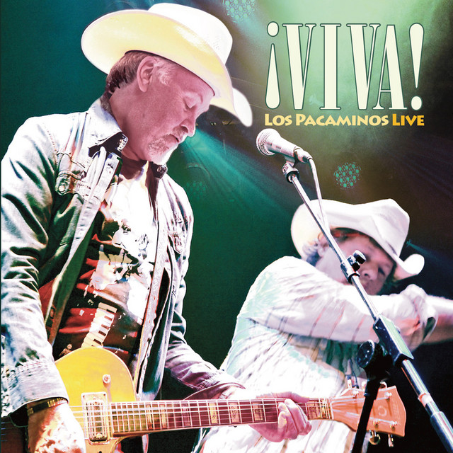 Viva cover