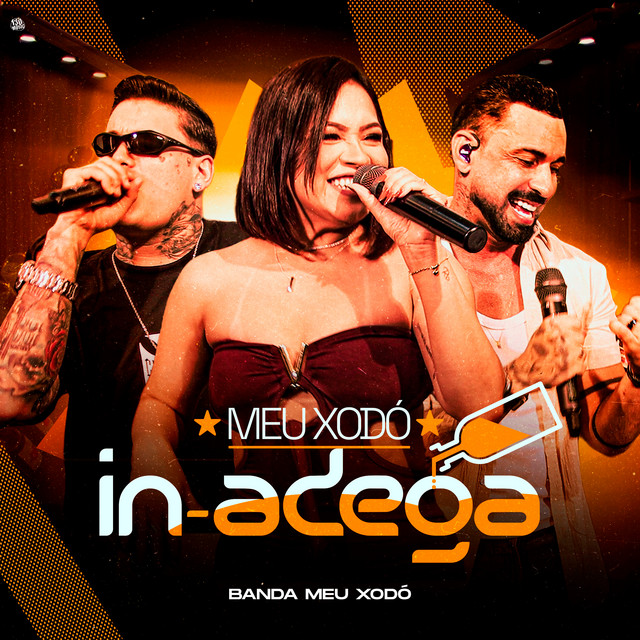 MEU XODÓ IN ADEGA cover art