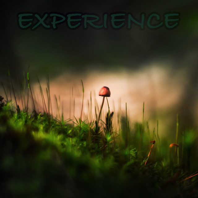 Experience cover art