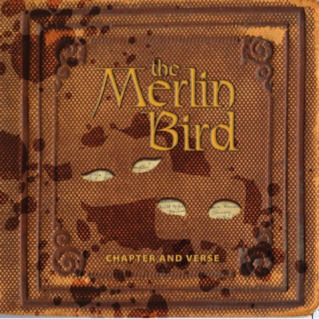 The Merlin Bird Photo