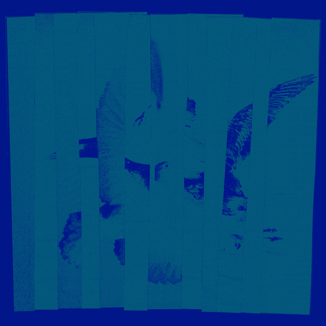 House Creature cover art