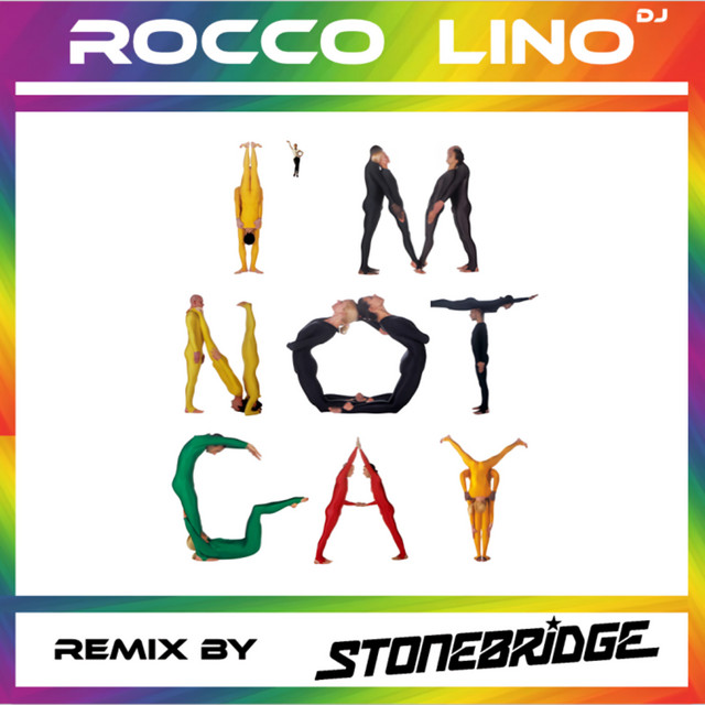 I'm not gay (StoneBridge Remix) cover art