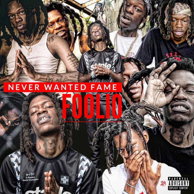 Never Wanted Fame cover art