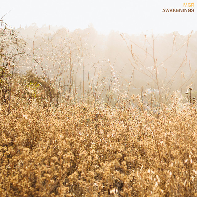 Awakenings (single)
