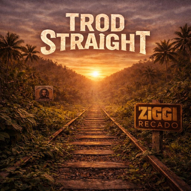 Trod Straight cover
