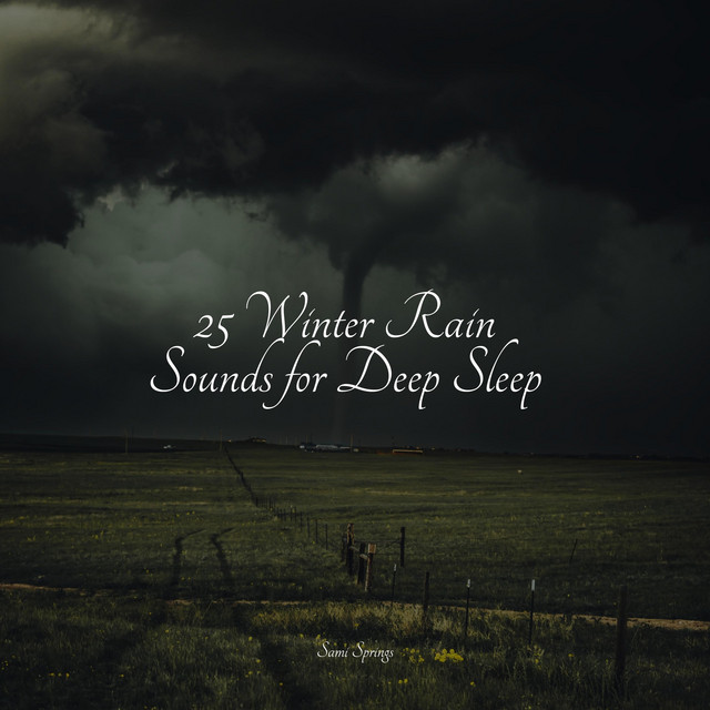 25 Winter Rain Sounds for Deep Sleep - Album by Chakra Balancing Sound ...