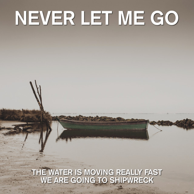 Never Let Me Go | Spotify
