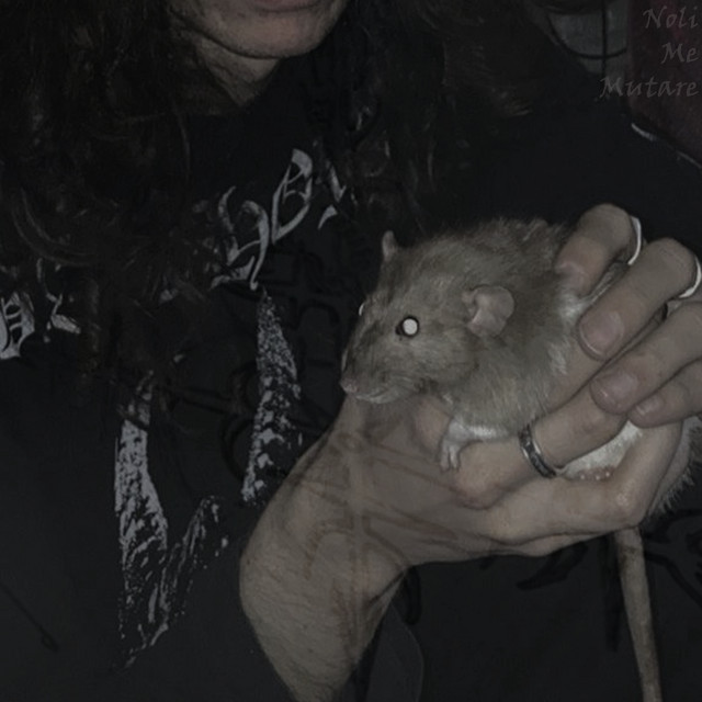 Обкладинка plagibel — Noli Me Mutare